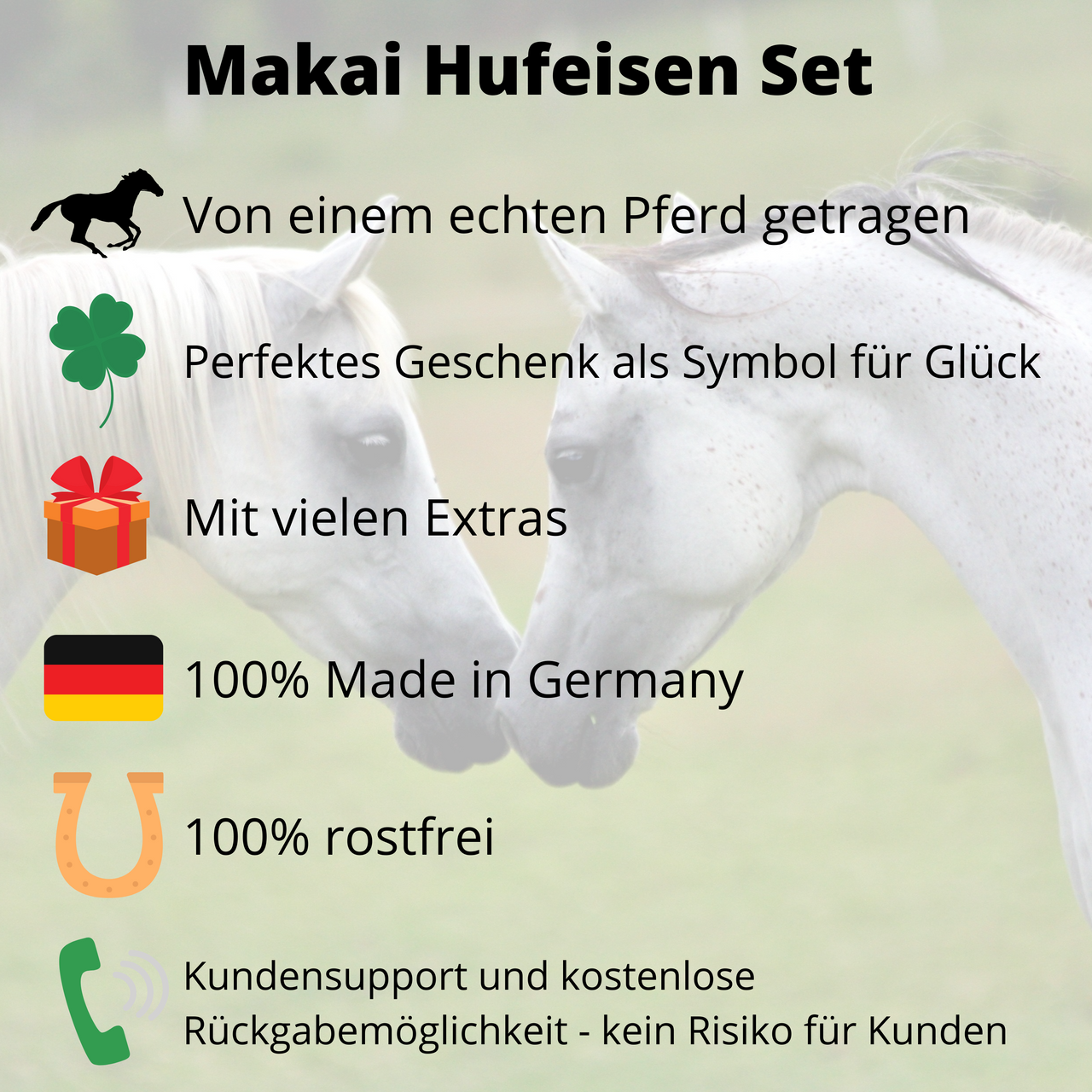 Makai Hufeisen Set von einem echten Pferd getragen, perfektes Geschenk als Symbol für Glück, mit vielen Extras, 100% Made in Germany, 100% rostfrei, Kundensupport und kostenlose Rückgabe.