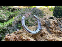 Video Veranschaulichung Hufeisen in Natur, Geschenkidee für Freunde und Familie, Glücksbringer Geschenk